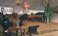 Rodeo Roper