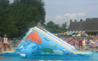 Dolphin Slide