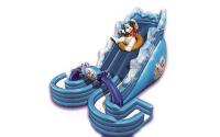 Polarplunge Water Slide